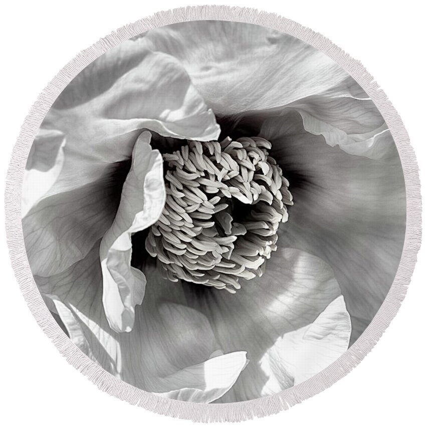 Flower Round Beach Towel featuring the photograph Tree Peony 'Mystery' #1 by Ann Jacobson