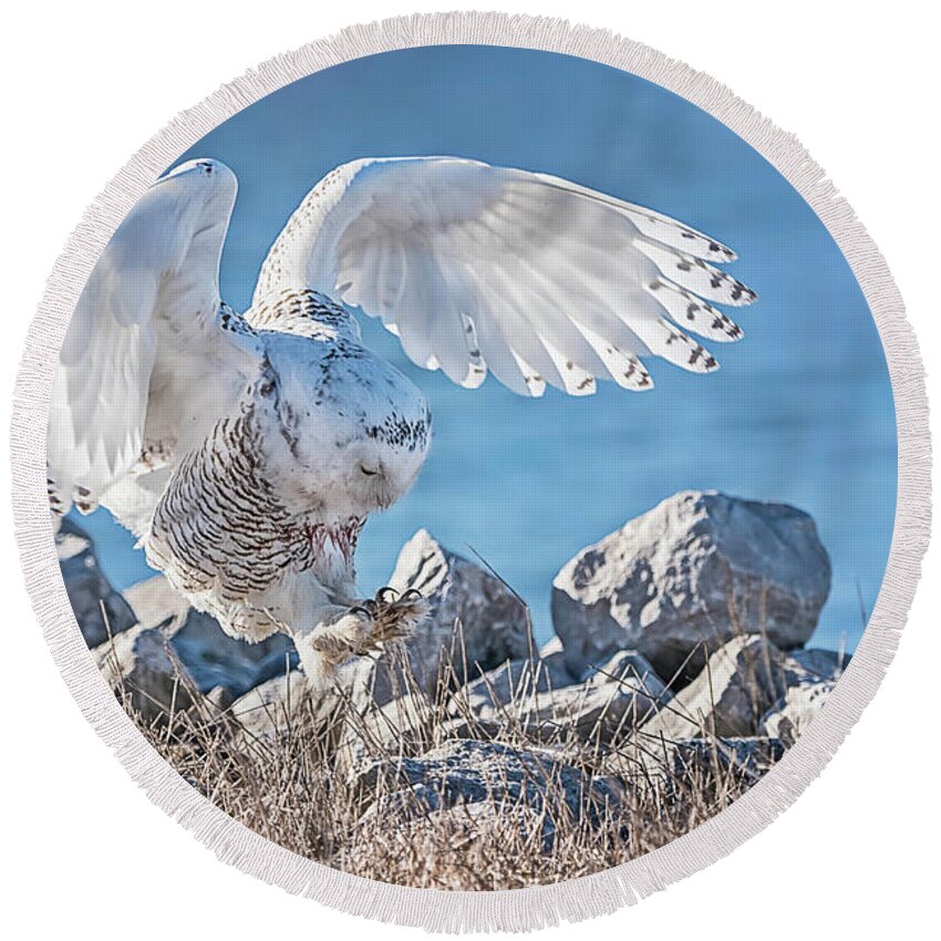 Owl Round Beach Towel featuring the photograph Two Point Landing #1 by Peg Runyan