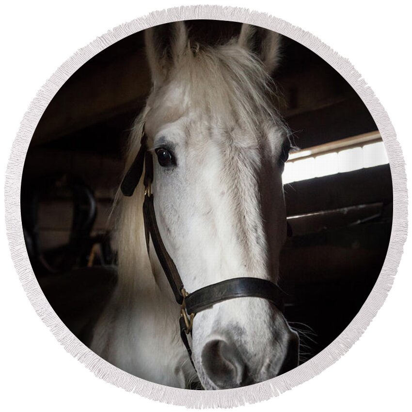 Equestrian Round Beach Towel featuring the photograph White Horse in Stable #1 by Erin Cadigan