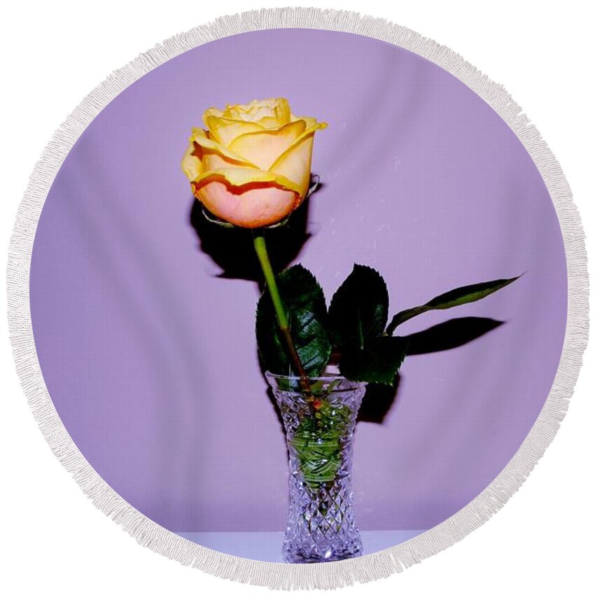 Rose Round Beach Towel featuring the photograph Yellow Rose #1 by Eileen Brymer
