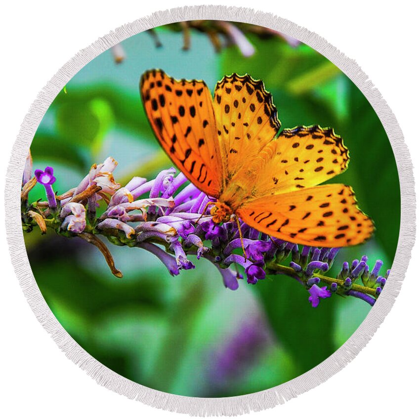 Spring Round Beach Towel featuring the photograph Butterfly and flower closeup #10 by Carl Ning