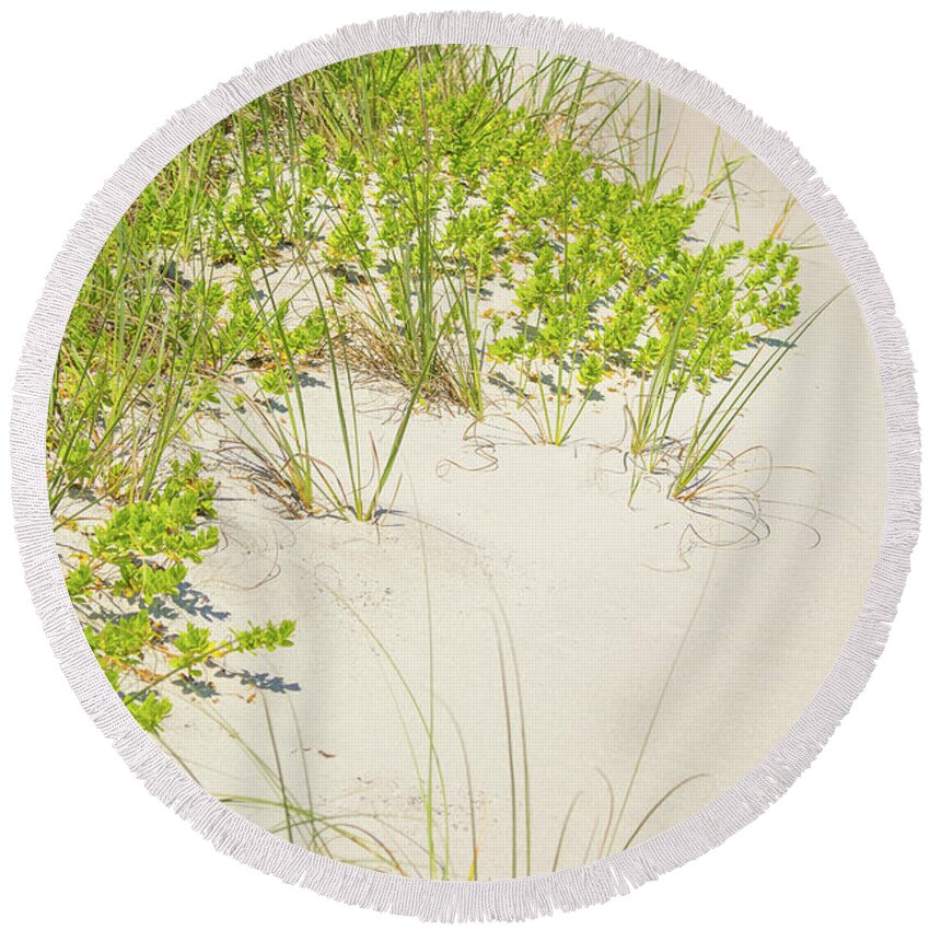 Beach Round Beach Towel featuring the photograph 10963 Sea Oats by Pamela Williams