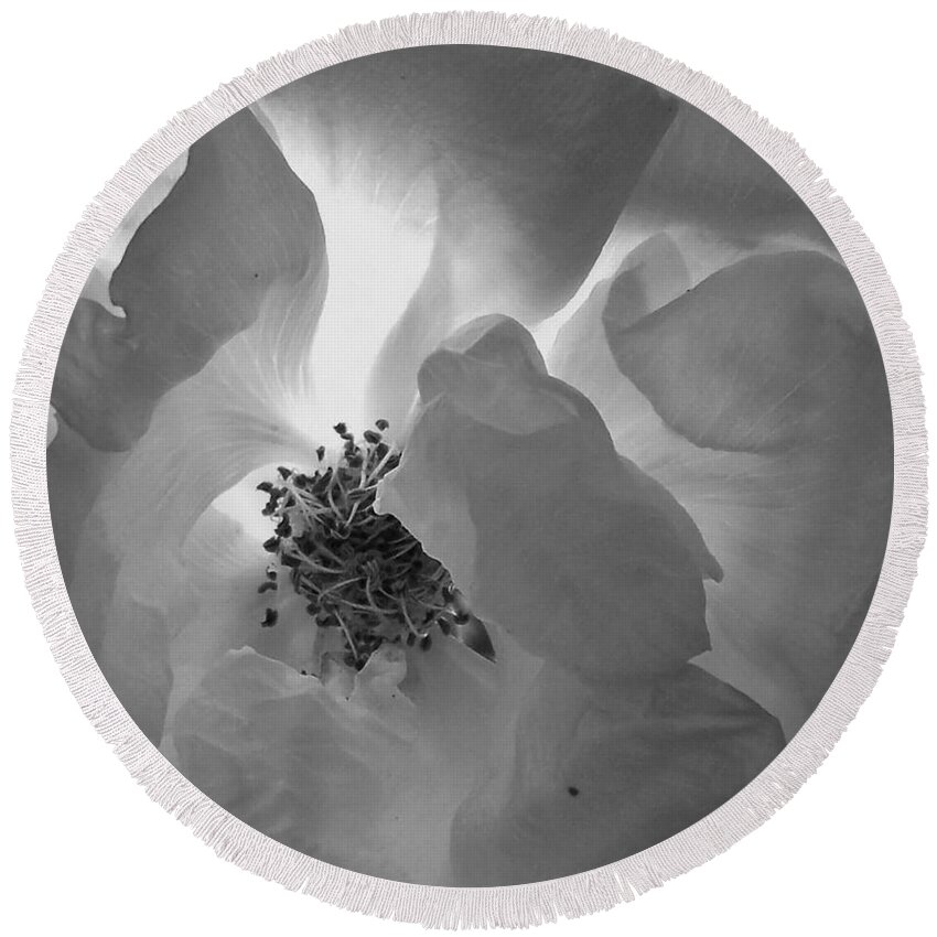 Rose Round Beach Towel featuring the photograph Roses #11 by Sylvie Leandre