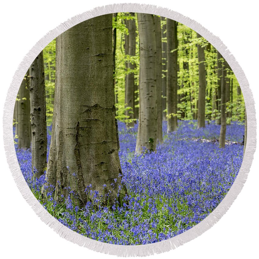 Bluebells Round Beach Towel featuring the photograph 150403p369 by Arterra Picture Library