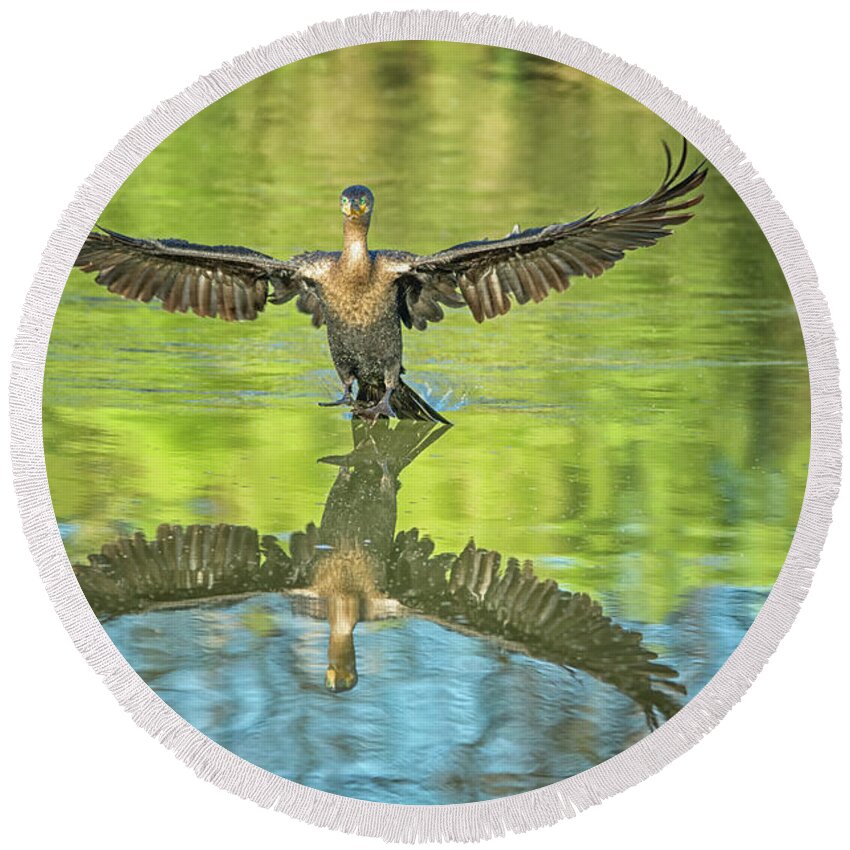 Neotropic Round Beach Towel featuring the photograph Neotropic Cormorant #18 by Tam Ryan