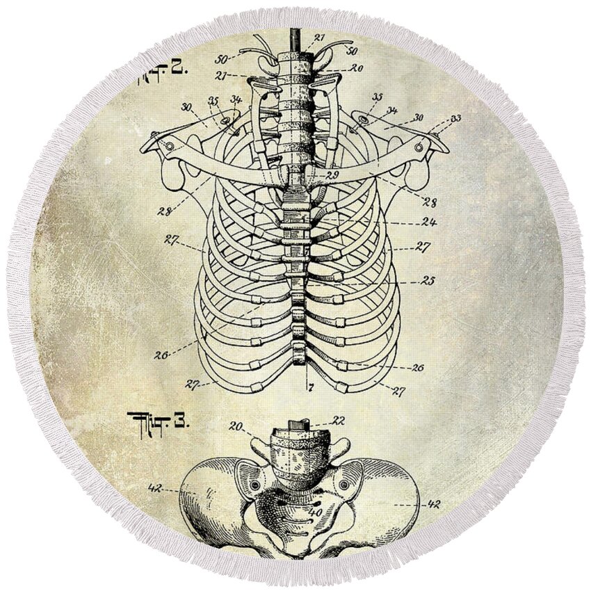 Skeleton Round Beach Towel featuring the photograph 1911 Anatomical Skeleton Patent by Jon Neidert