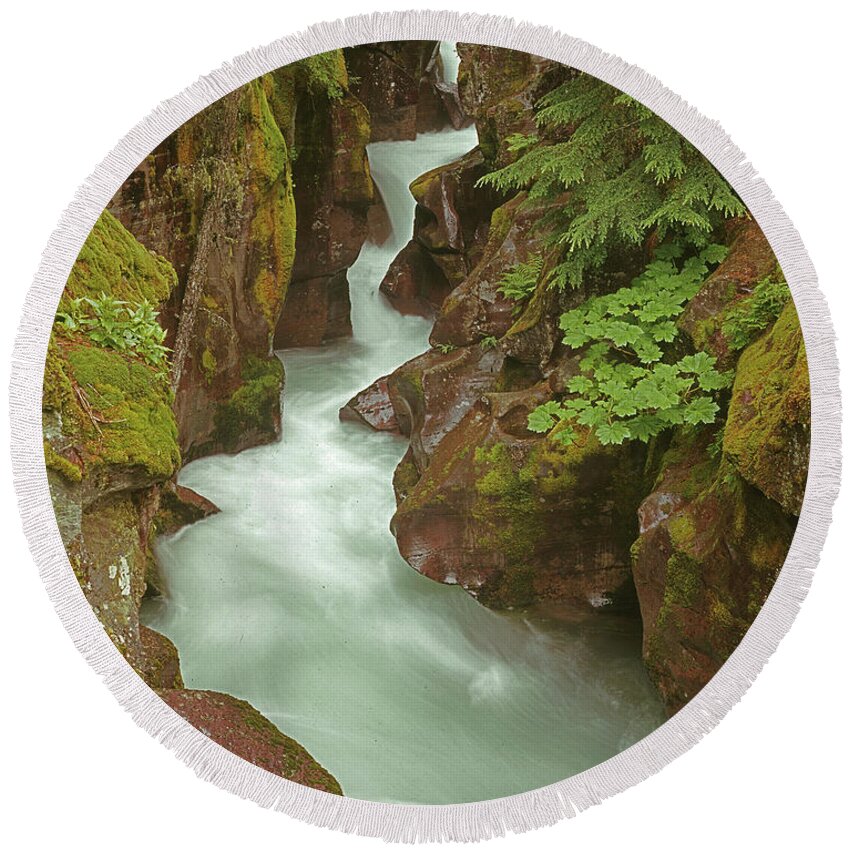 1m8115 Round Beach Towel featuring the photograph 1M8115 Avalanche Gorge MT by Ed Cooper Photography