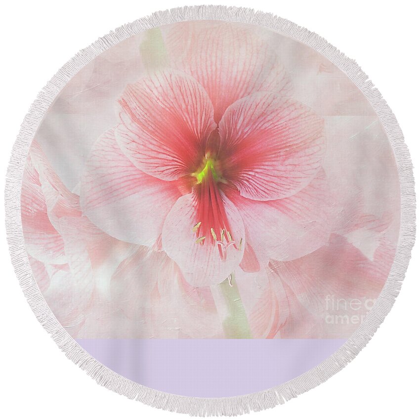 Flower Round Beach Towel featuring the photograph Amaryllis 'Purple Rain' #1 by Ann Jacobson