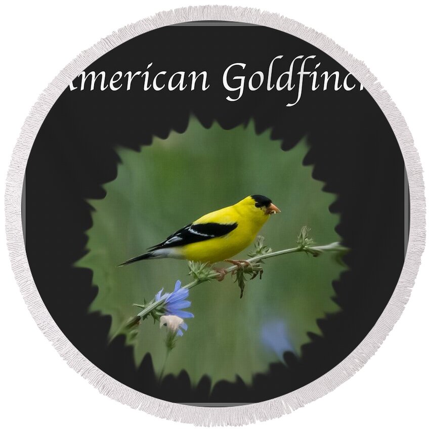 American Goldfinch Round Beach Towel featuring the photograph American Goldfinch by Holden The Moment