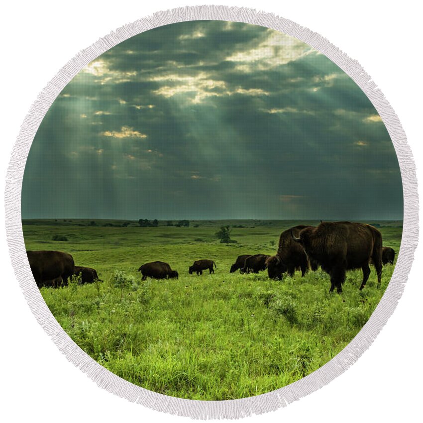 Jay Stockhaus Round Beach Towel featuring the photograph Bison #2 by Jay Stockhaus