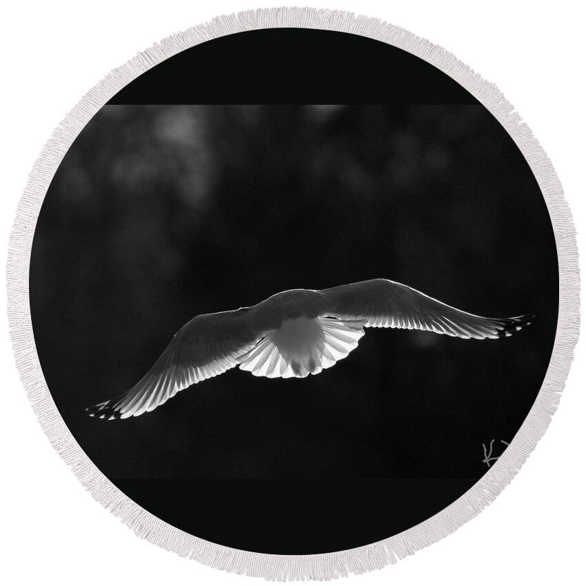 Seaagull Round Beach Towel featuring the photograph Glowing Wings #2 by Karol Livote