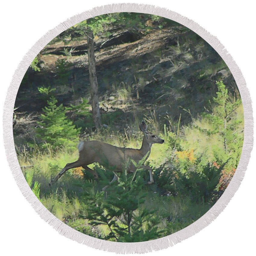 Deer Round Beach Towel featuring the photograph On The Run #2 by Roland Stanke