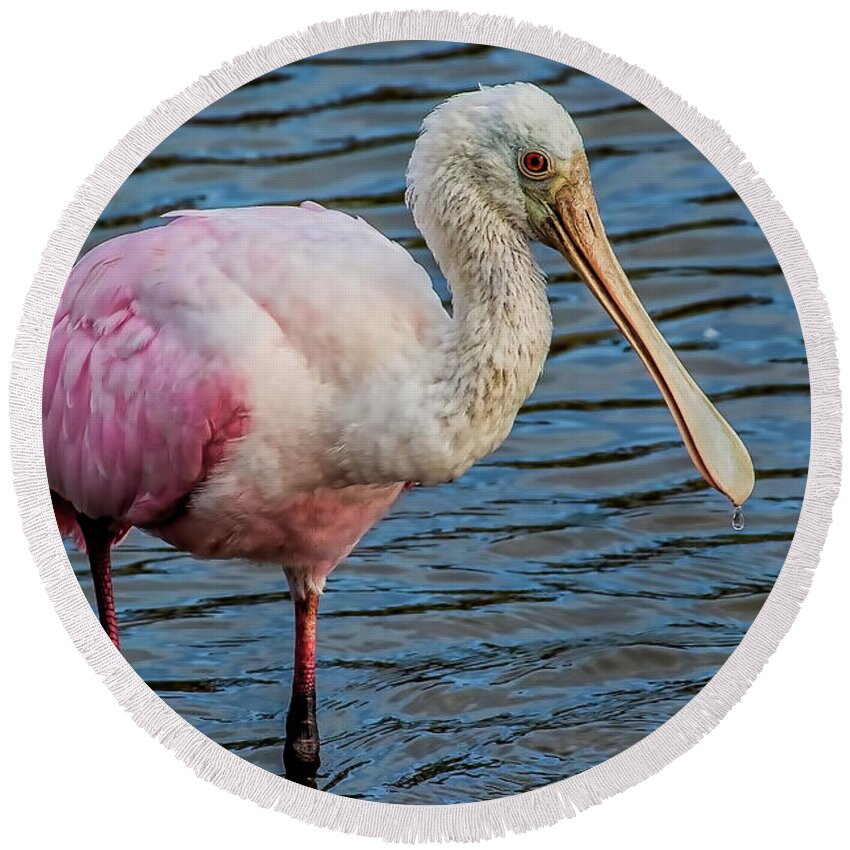Roseate Round Beach Towel featuring the photograph Roseate Spoonbill 1 by Richard Goldman