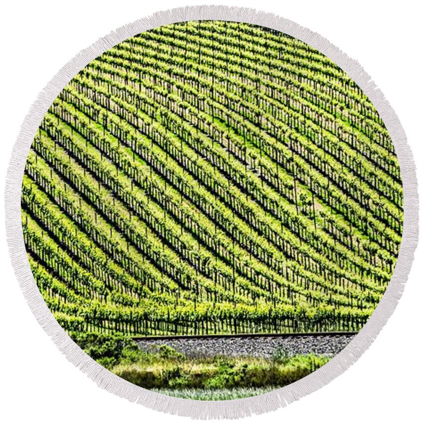 Vine Round Beach Towel featuring the photograph Sonoma And Napa Valley Vinyards In California #2 by Alex Grichenko