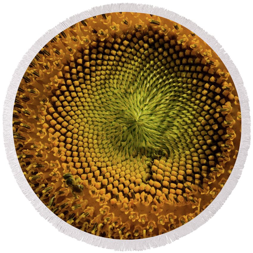 Flower Round Beach Towel featuring the photograph The Circle Of Life #2 by Donna Brown