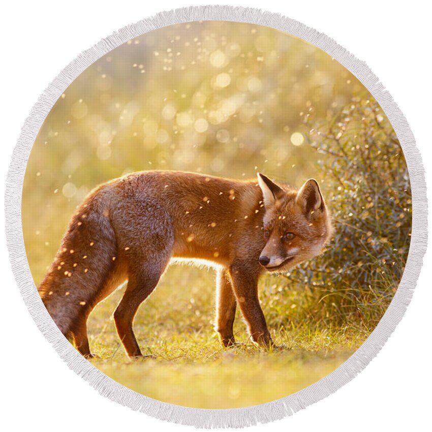 Red Fox Round Beach Towel featuring the photograph The Fox And The Fairy Dust by Roeselien Raimond
