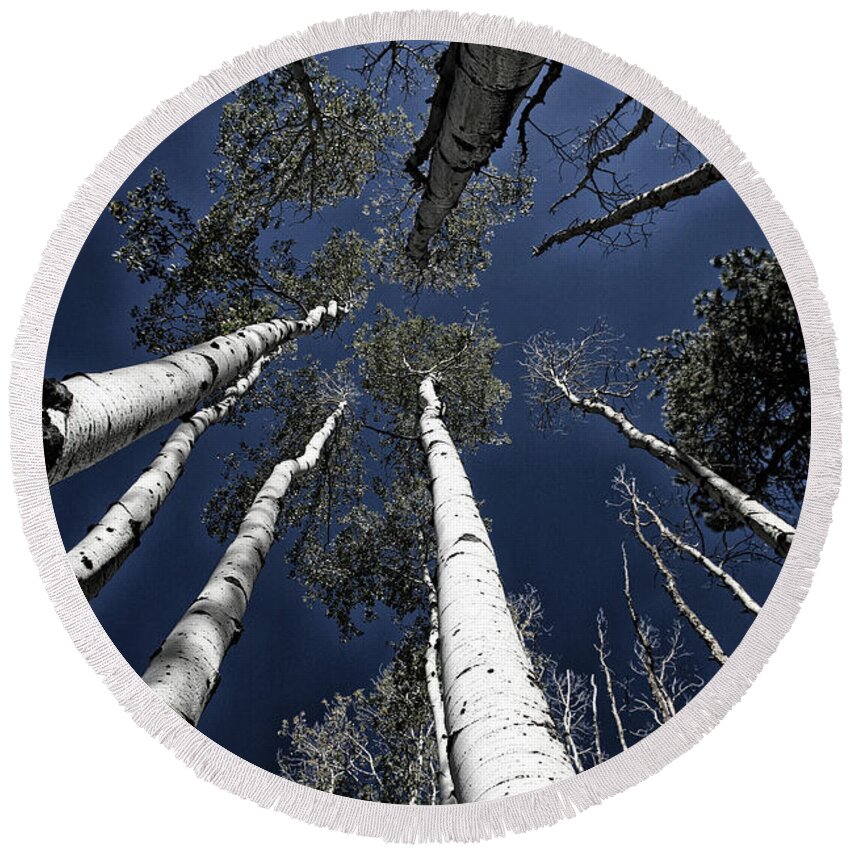 Skyward Round Beach Towel featuring the photograph Towering Aspens #2 by Timothy Johnson