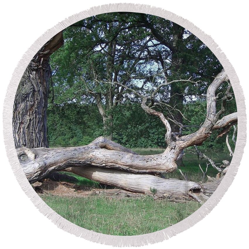 Tree Round Beach Towel featuring the photograph Tree #2 by Jackie Russo