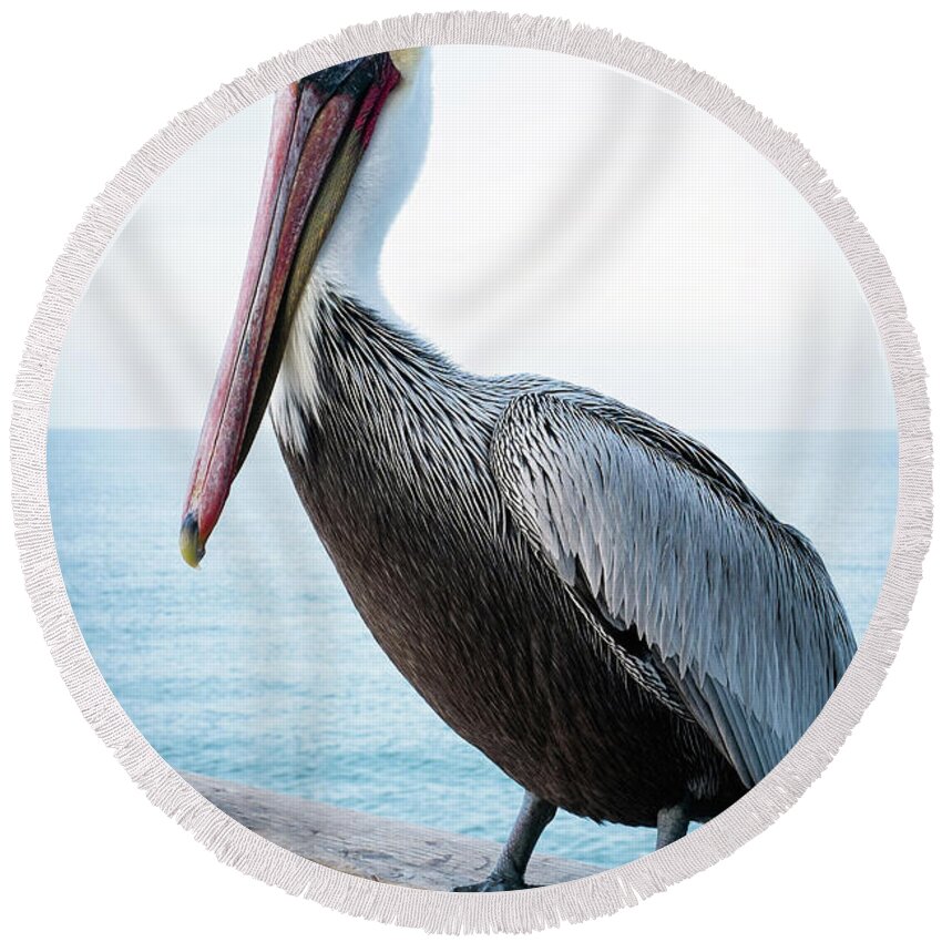 Pelican Round Beach Towel featuring the photograph Portrait Of A Pelican by Catherine Lau