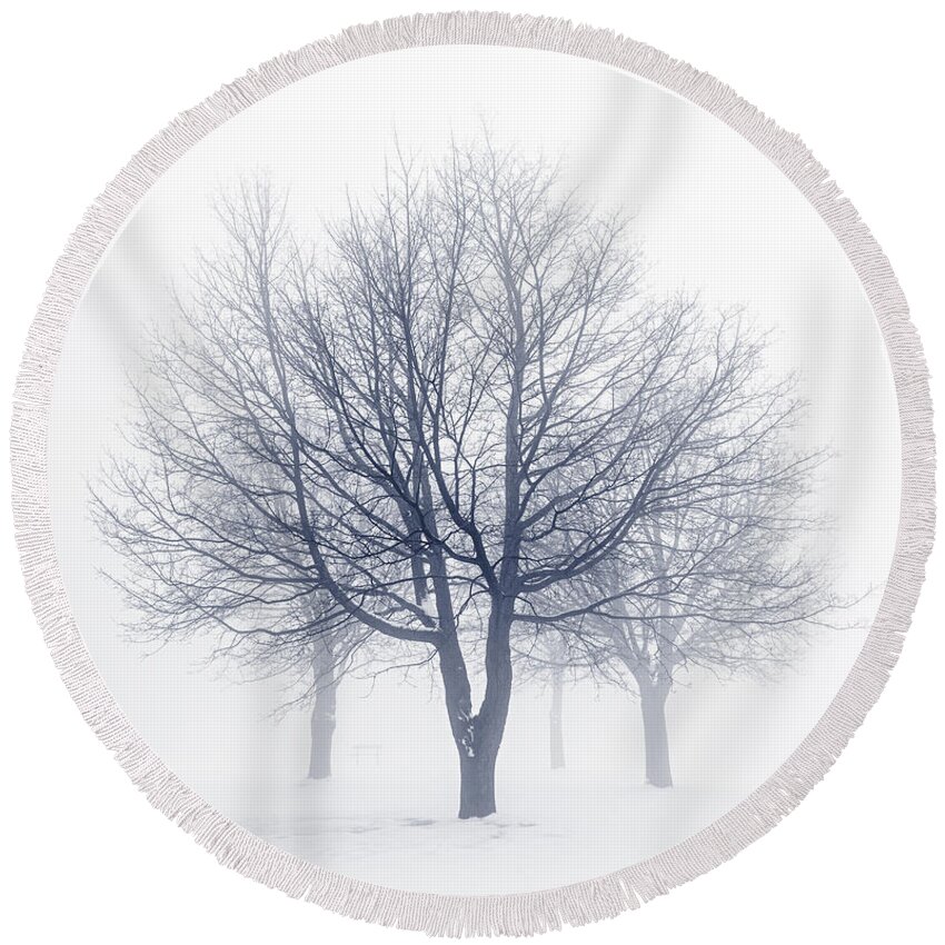 Trees Round Beach Towel featuring the photograph Winter trees in fog 8 by Elena Elisseeva