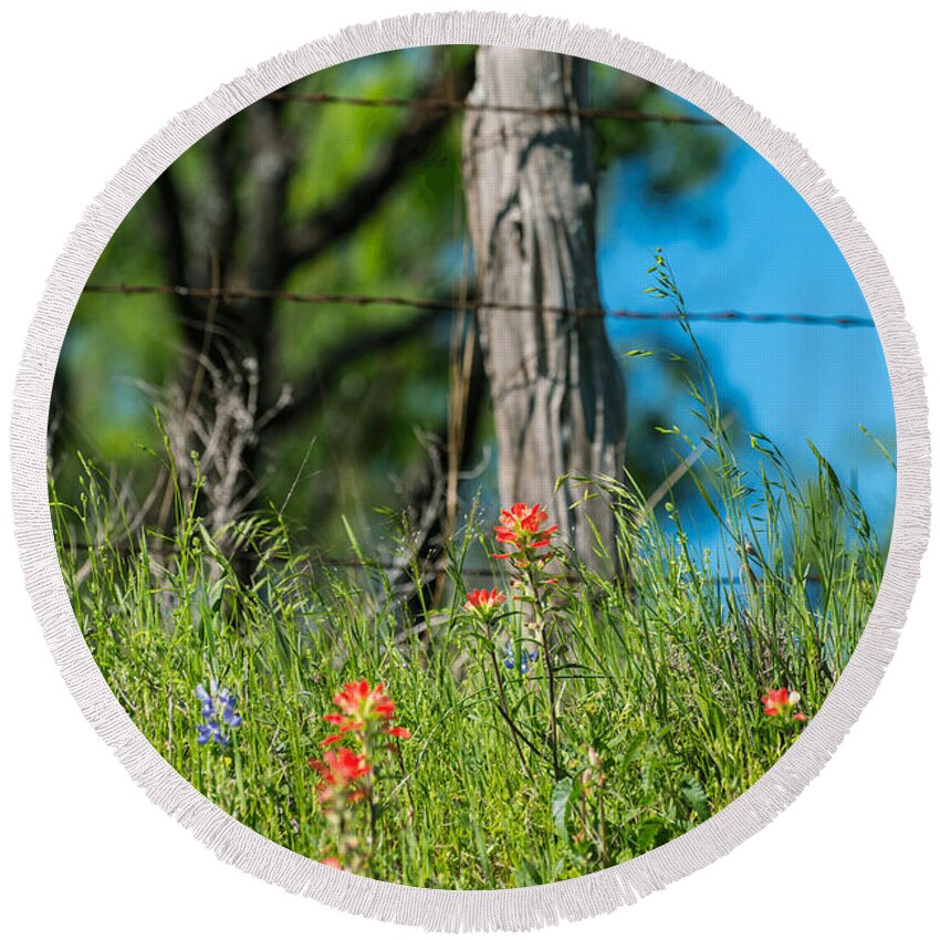 Early Morning; Spring; Texas; Hill Country; Orientation Portrait; Vertical Format; 2017; 2010s; March; Wild Flowers; Indian Paint Brush; Texas Bluebonnets; Mesquite; Fence; Barbed Wire Fence; Fence Post; Central Texas Hill Country; Aspect Ratio 2:3; Format 2:3; Color Images; Color Photo; Color Photograph; Color Pictures; Castilleja Indivisa; Lupinus Texensis Round Beach Towel featuring the photograph 201703300-082 Indian Paintbrush and Bluebonnets 2x3 by Alan Tonnesen