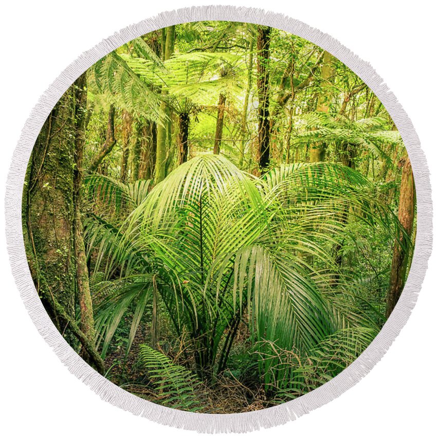 Rain Forest Round Beach Towel featuring the photograph Jungle 17 by Les Cunliffe