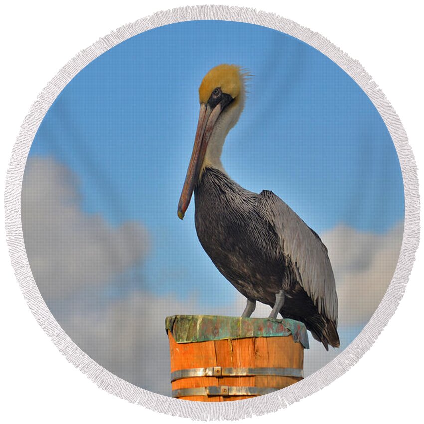 Pelican Round Beach Towel featuring the photograph 24- Pelican by Joseph Keane