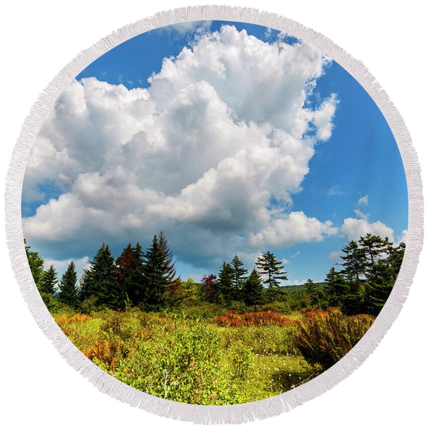 Cranberry Glades Botanical Area Round Beach Towel featuring the photograph Cranberry Glades Botanical Area #26 by Thomas R Fletcher