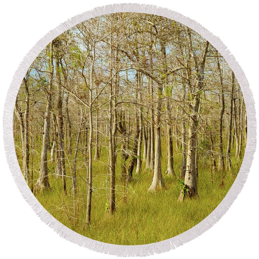 Big Cypress National Preserve Round Beach Towel featuring the photograph Florida Everglades by Raul Rodriguez