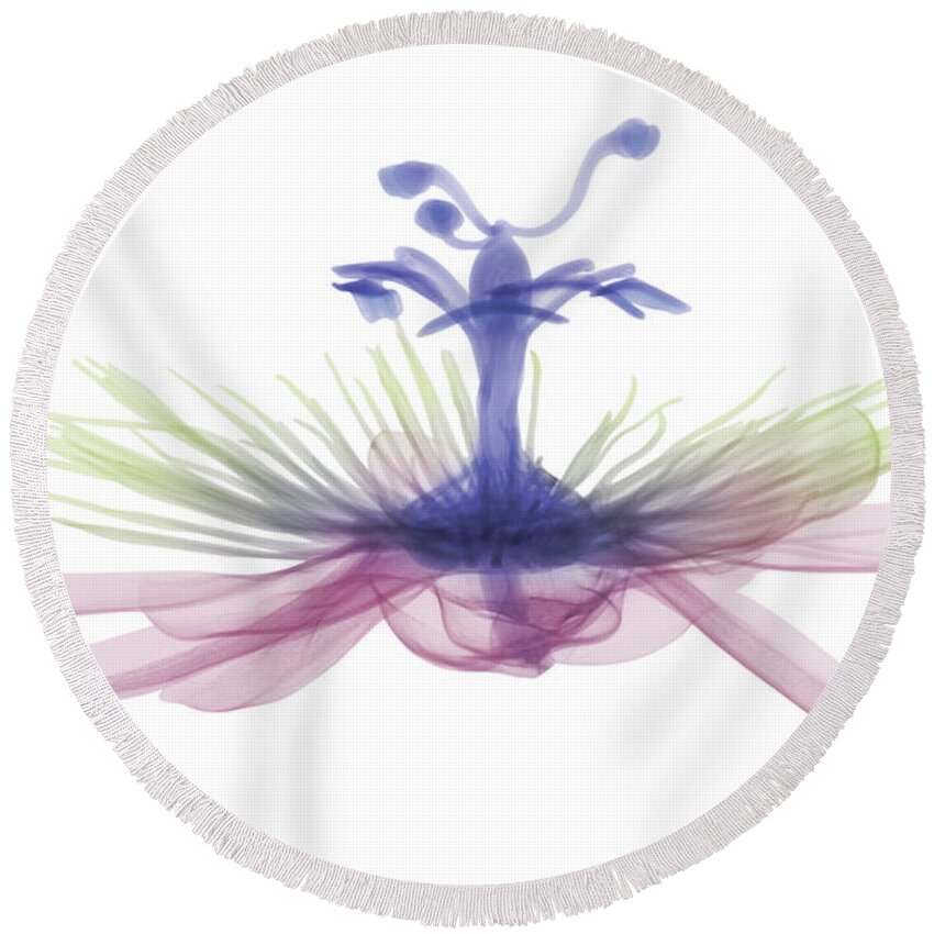 X-ray Round Beach Towel featuring the photograph Passion Flower, X-ray #3 by Ted Kinsman