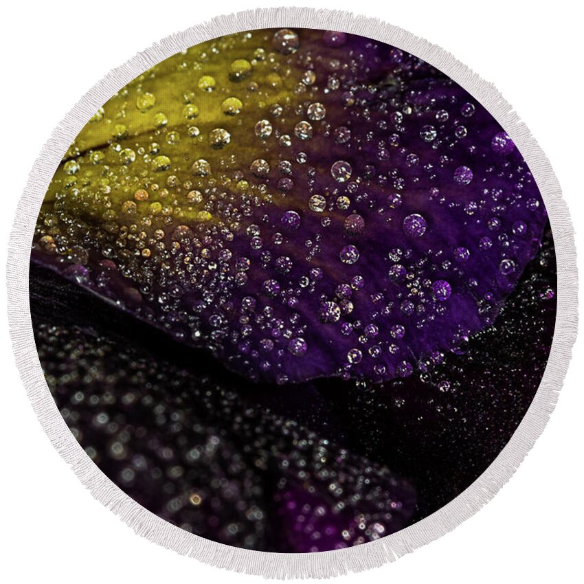 Jay Stockhaus Round Beach Towel featuring the photograph Purple and Yellow #3 by Jay Stockhaus