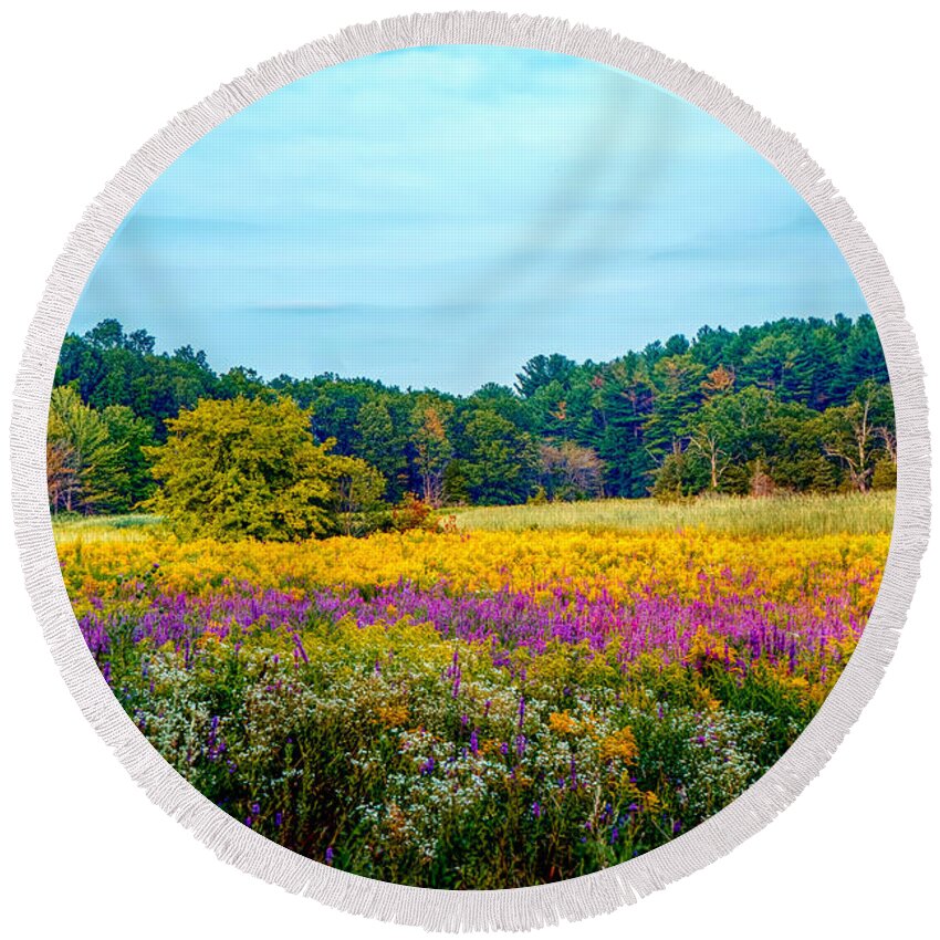 Summer Meadow Round Beach Towel featuring the photograph Summer meadow #3 by Lilia S