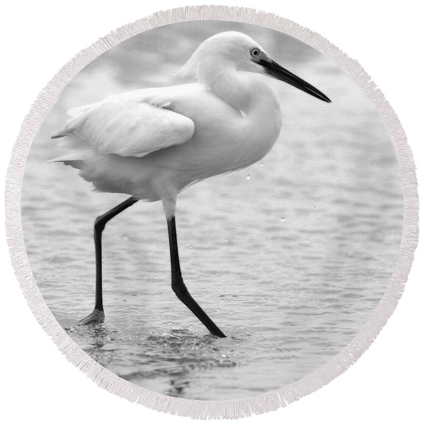  Round Beach Towel featuring the photograph Egret in Black and White #4 by Angela Rath