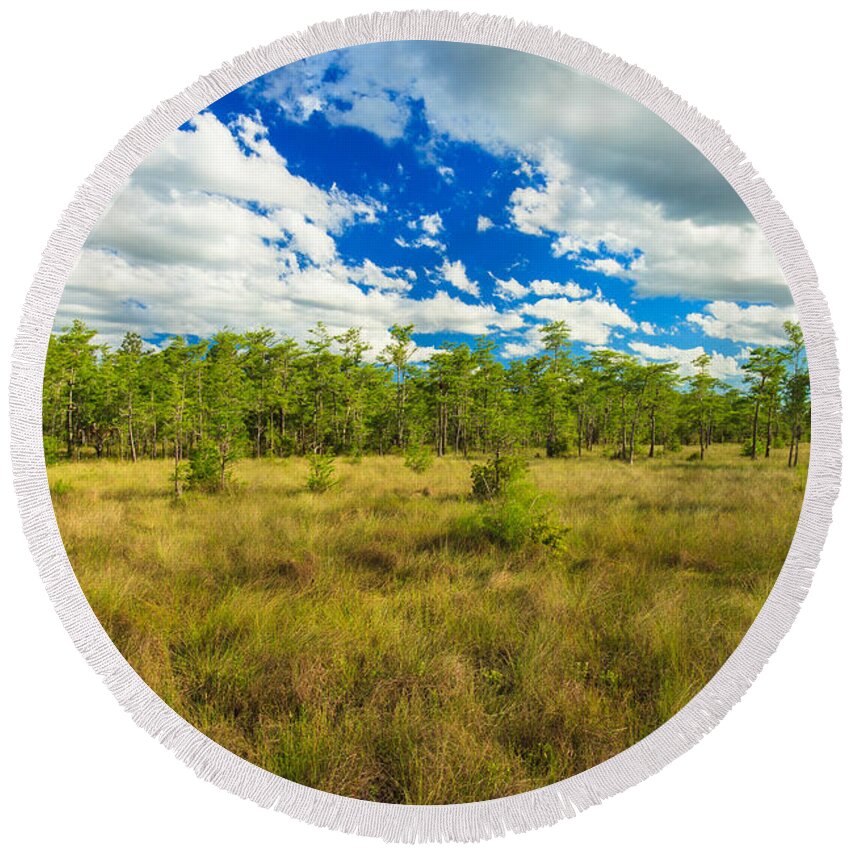 Everglades Round Beach Towel featuring the photograph Florida Everglades #4 by Raul Rodriguez