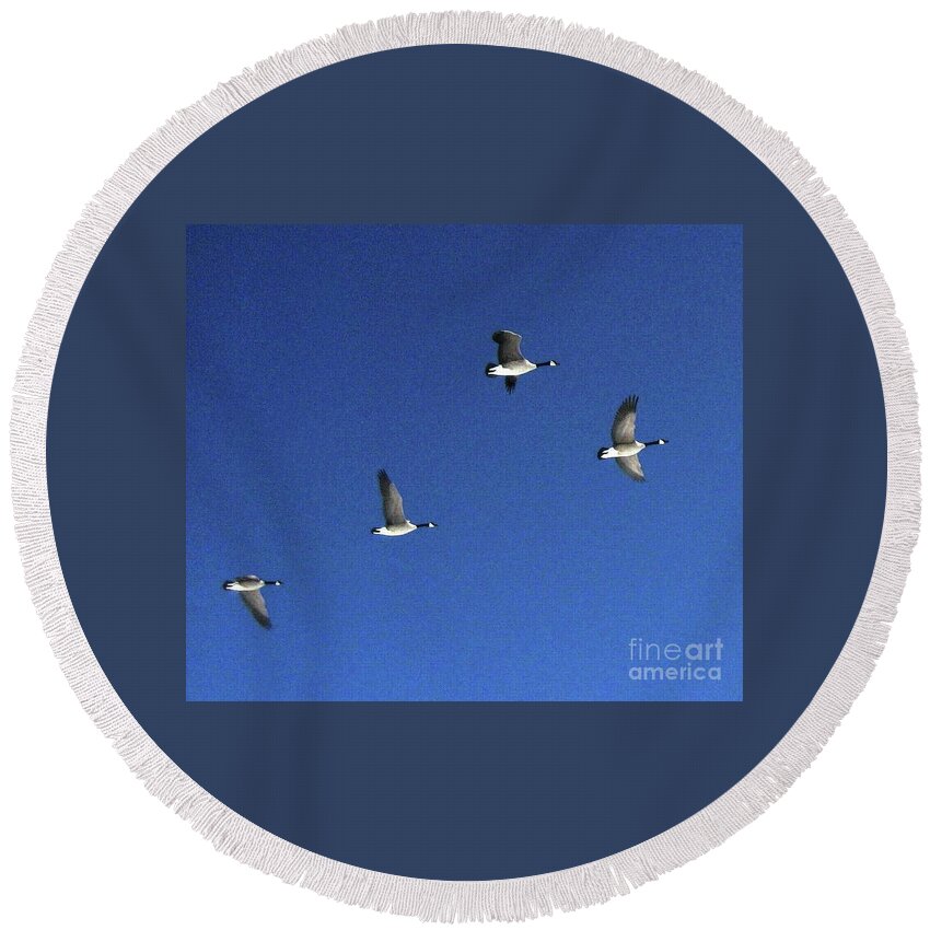 Geese Round Beach Towel featuring the photograph 4 Geese in Flight by Cindy Schneider