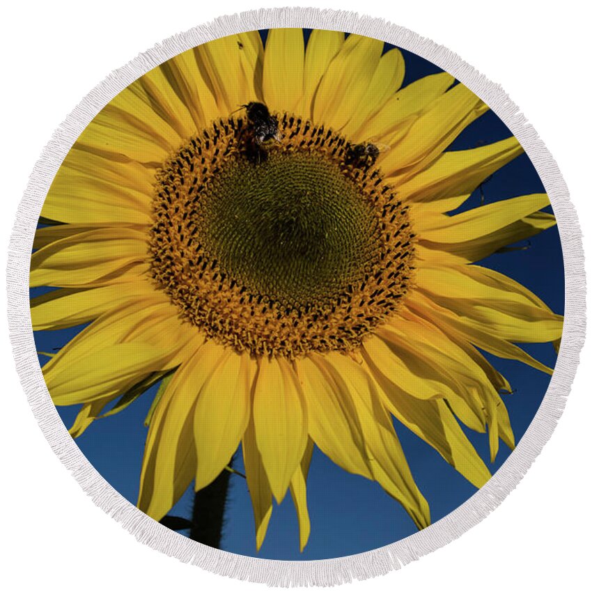 Winterpacht Round Beach Towel featuring the photograph Sunflower Fields #4 by Miguel Winterpacht