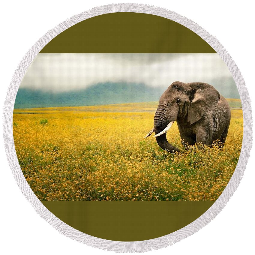 African Elephant Round Beach Towel featuring the photograph African Elephant #5 by Mariel Mcmeeking