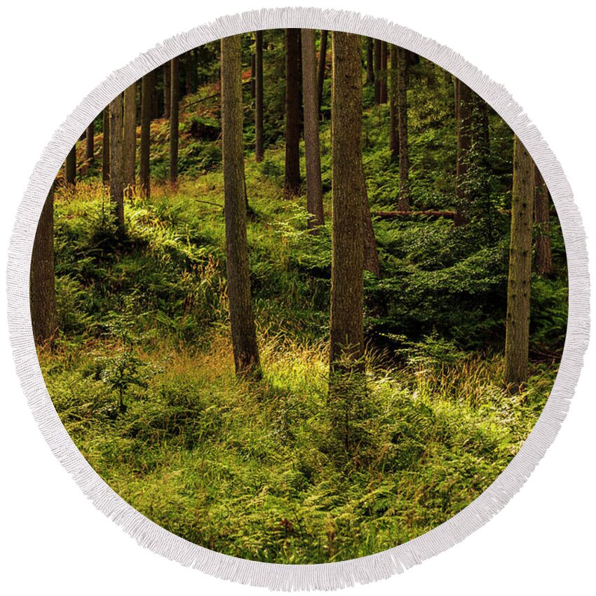 Forest Round Beach Towel featuring the photograph Forest #5 by Elmer Jensen