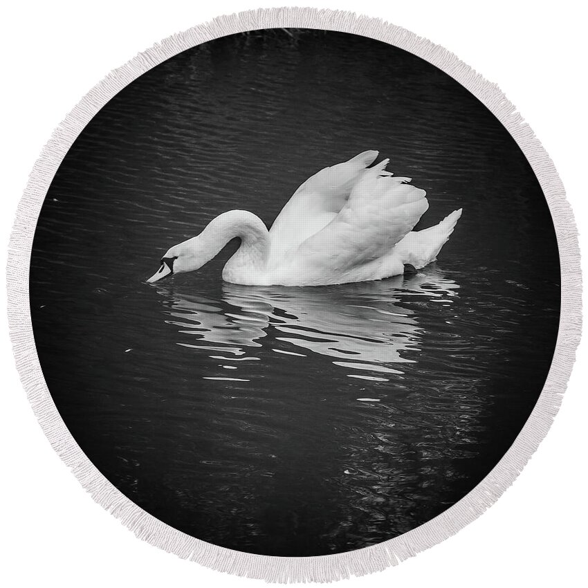 D90 Round Beach Towel featuring the photograph Swan #5 by Mariusz Talarek