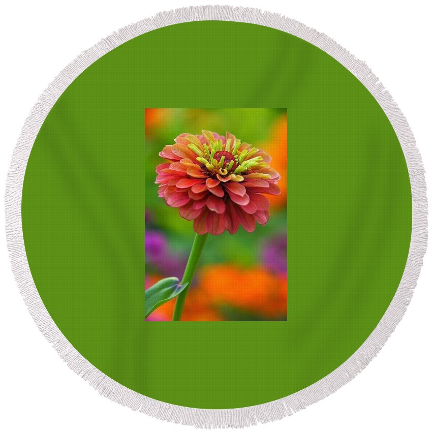 Flower Round Beach Towel featuring the photograph 50 Shades of Beautiful by Carolyn Mickulas