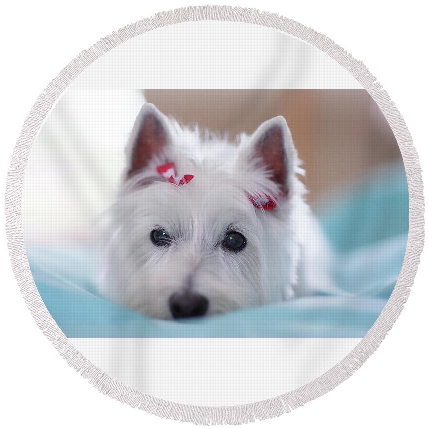 Dog Round Beach Towel featuring the digital art Dog #6 by Super Lovely