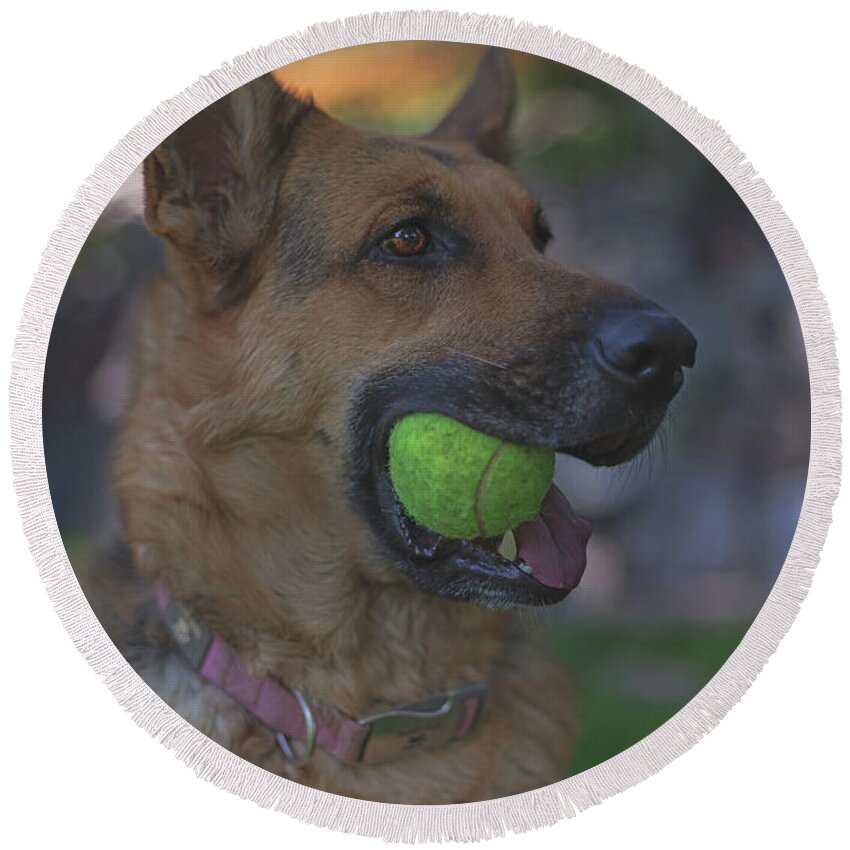 Animal Round Beach Towel featuring the photograph Liesl #6 by Brian Cross