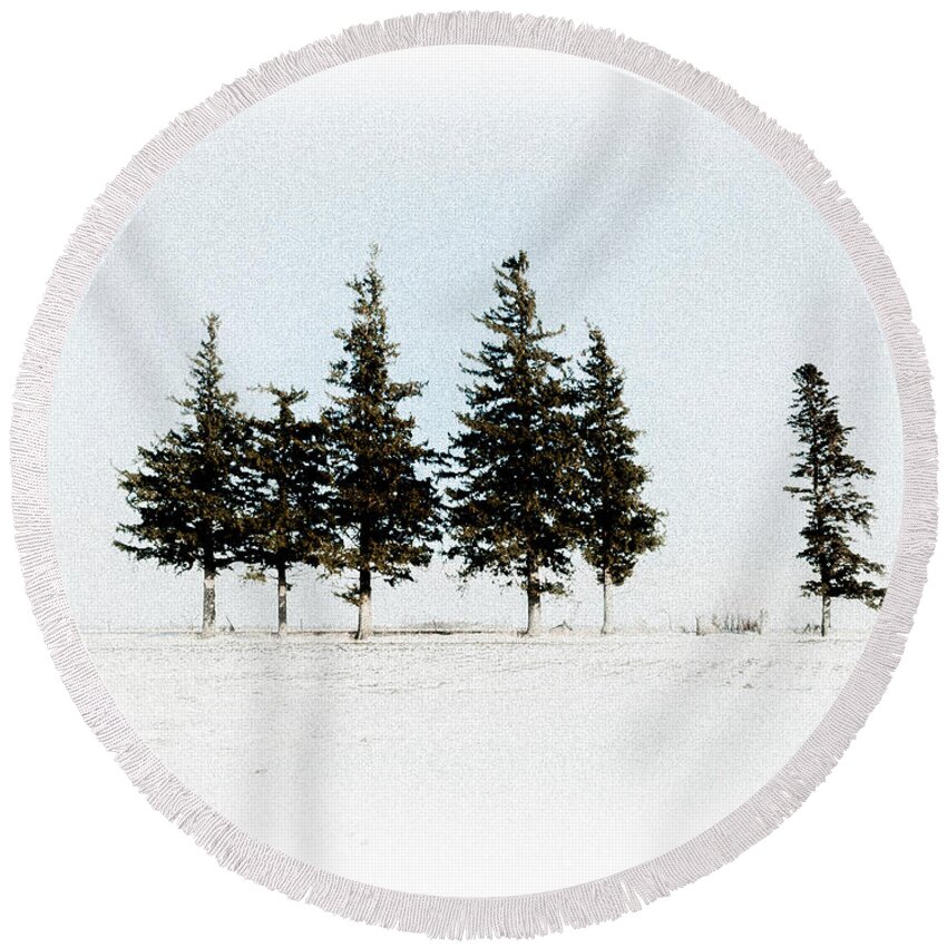 Pine Round Beach Towel featuring the photograph 6 Trees by Troy Stapek
