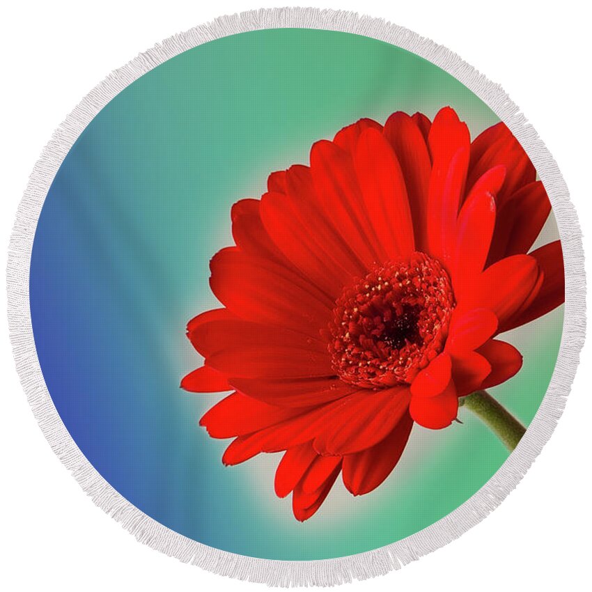 Flower Round Beach Towel featuring the photograph Flower #7 by Christine Sponchia