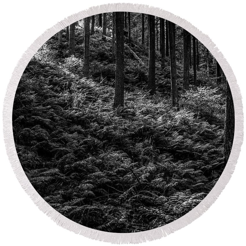 Forest Round Beach Towel featuring the photograph Forest #7 by Elmer Jensen