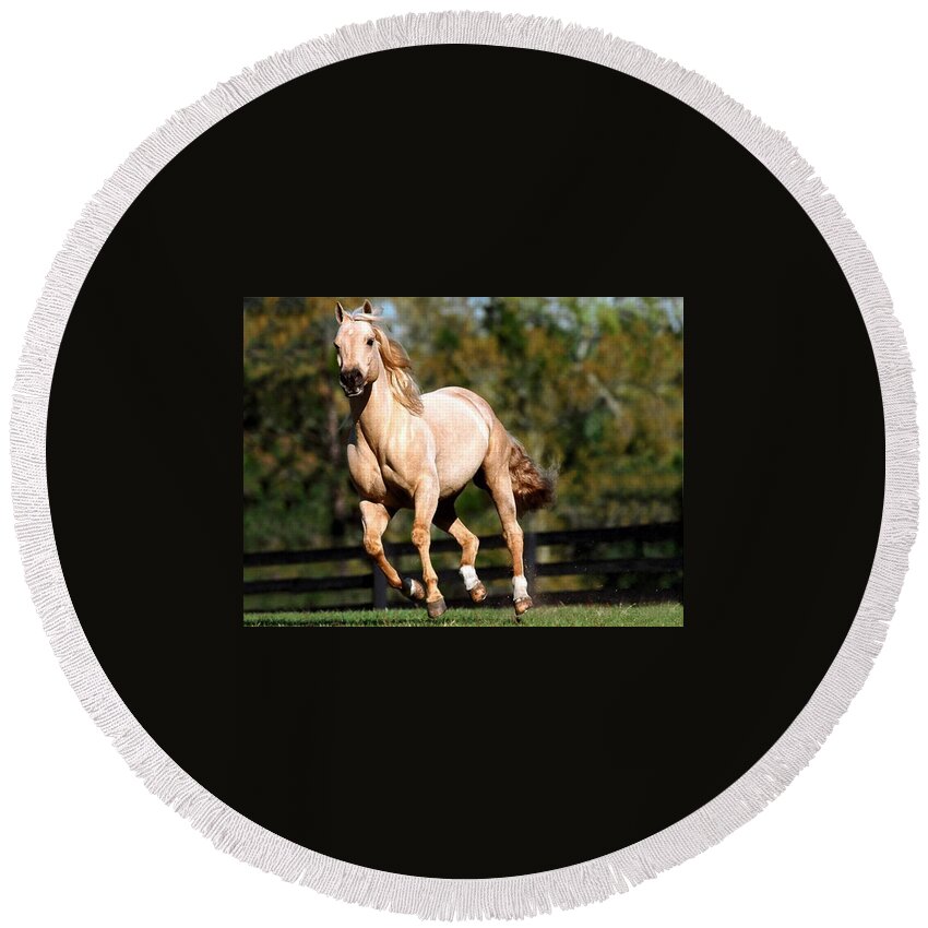 Horse Round Beach Towel featuring the photograph Horse #8 by Mariel Mcmeeking