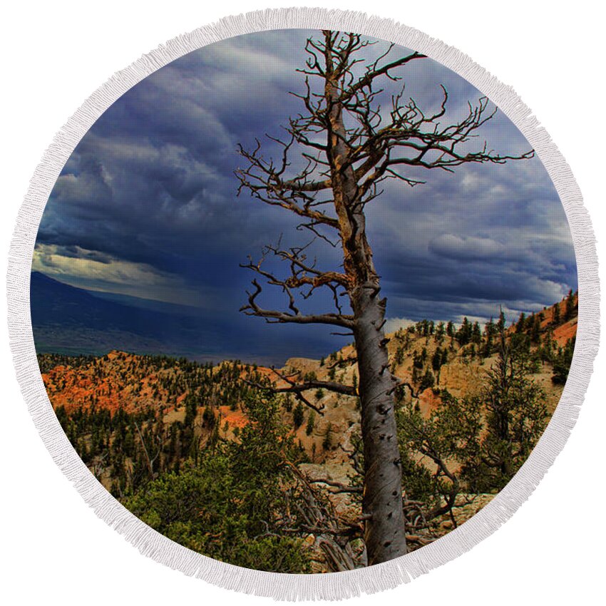 Bryce Canyon National Park Round Beach Towel featuring the photograph Bryce Canyon National Park #90 by Mark Smith