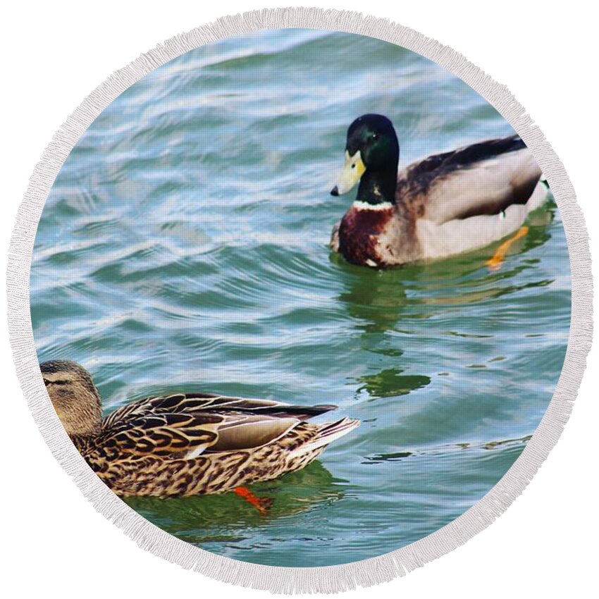 Wildlife River Duck Ducks Animal Waterfront Water Summer Usa America Virginia U.s.a Us Oldtown Alexandria Bird Birds Green Nature Landscape Photo Photography Round Beach Towel featuring the digital art A Beautiful Couple by Jeanette Rode Dybdahl