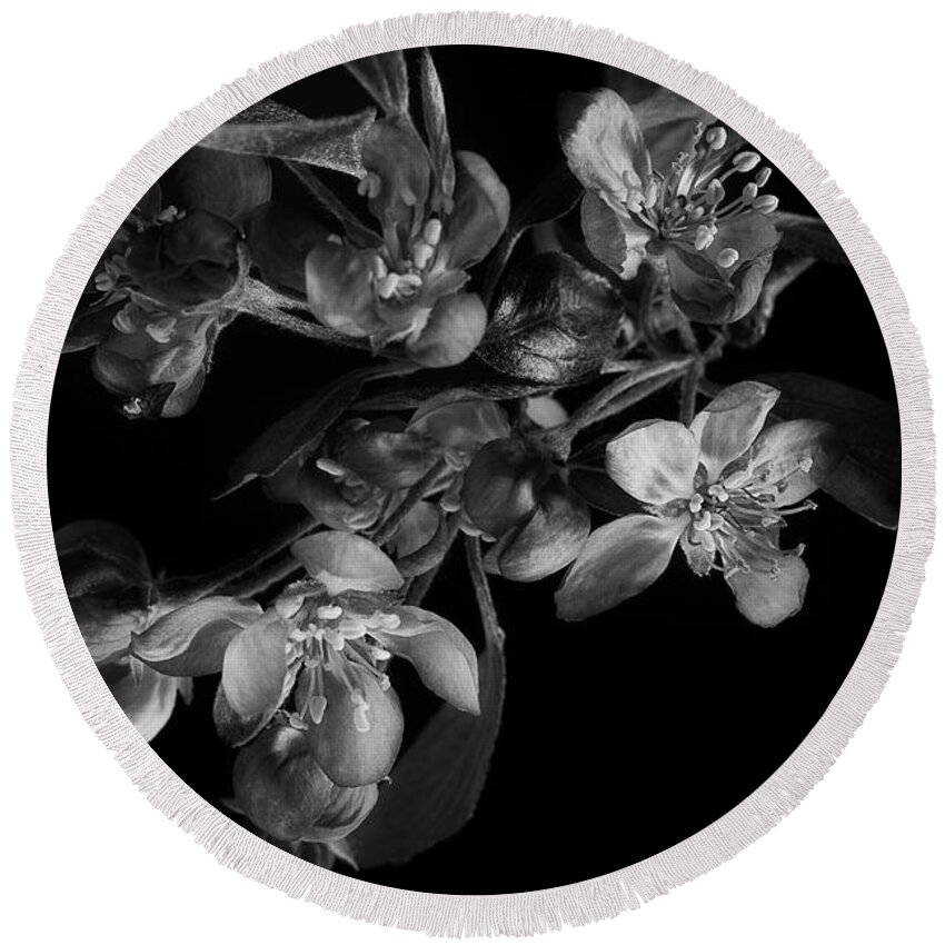Flower Round Beach Towel featuring the photograph A Black And White Spring by Mike Eingle