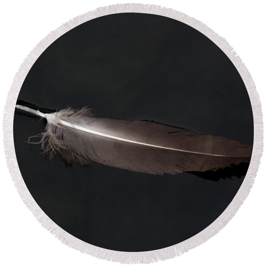 Feather Round Beach Towel featuring the photograph A Black Vulture Feather Floating on the Swanee river by John Harmon